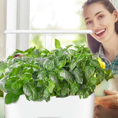 Indoor herb garden with 11` grwo baskets growing basil