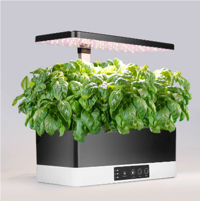 Indoor herb garden  6 grow basket fully planted with basil