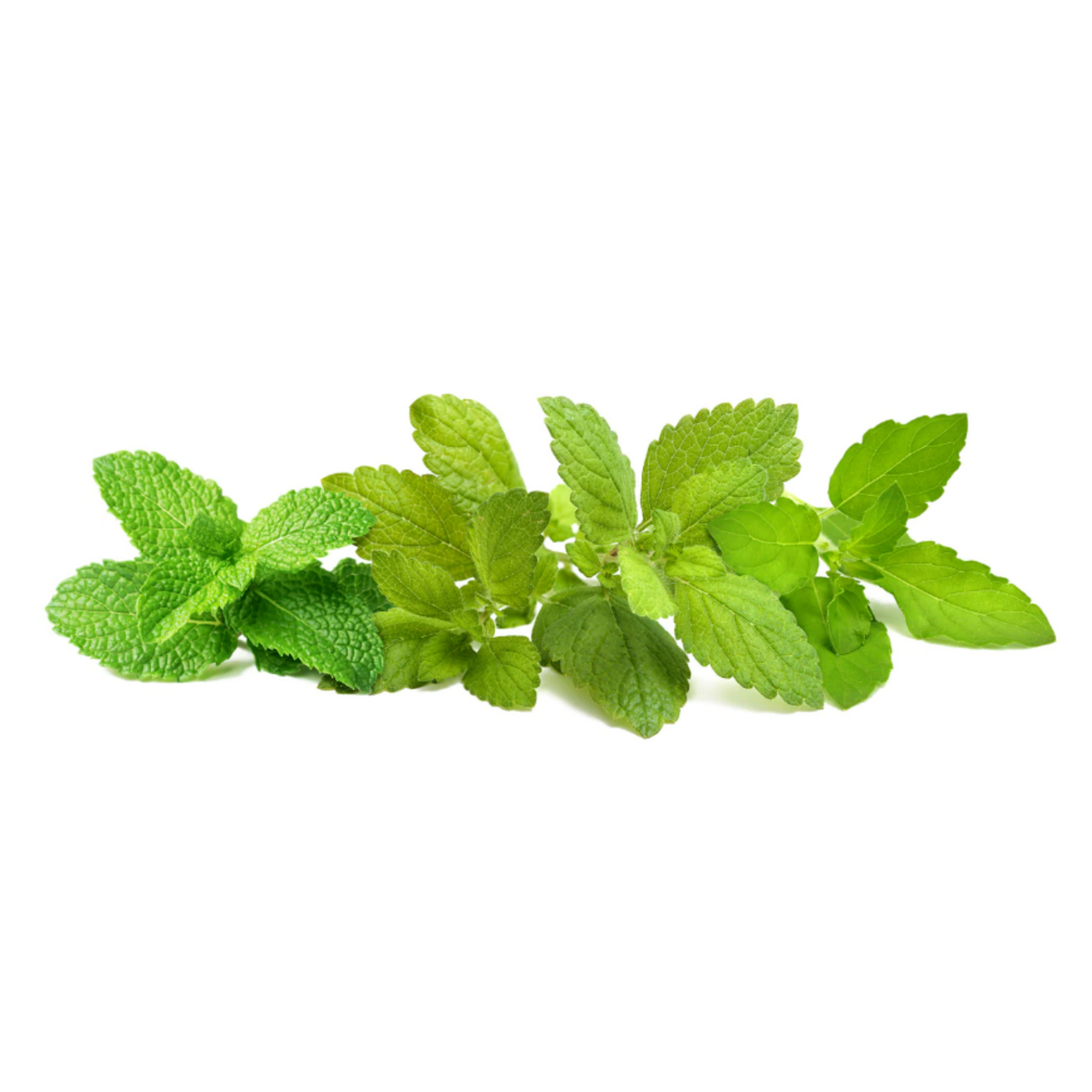 Calming Herbal Tea Seed Mix - Peppermint, Lemon Balm, Basil