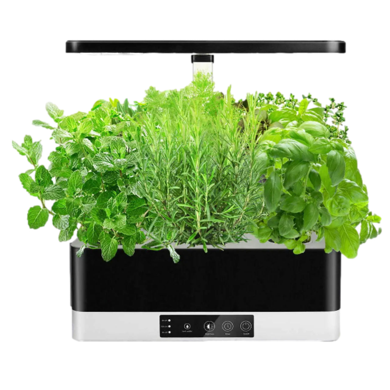 Indoor Hydroponic Growing System Herb & Salad Garden Kit - 6 Grow Pods