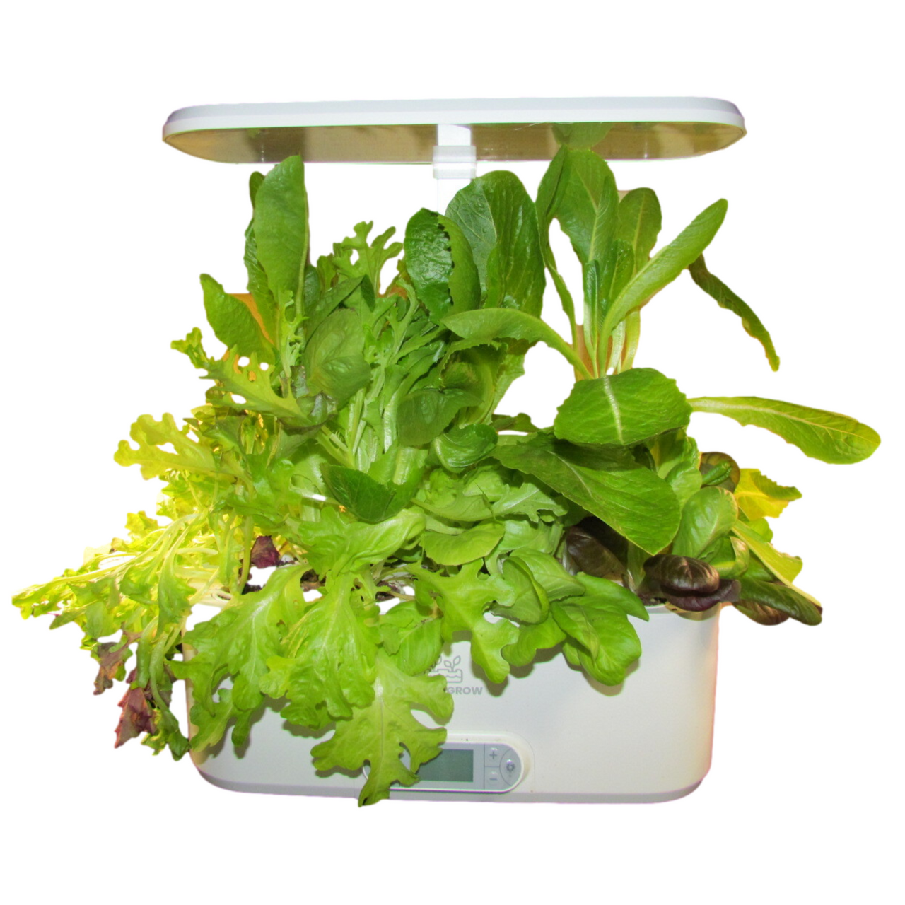 Indoor Hydroponic Growing System Herb  & Salad Garden Kit - 11 Grow Pods