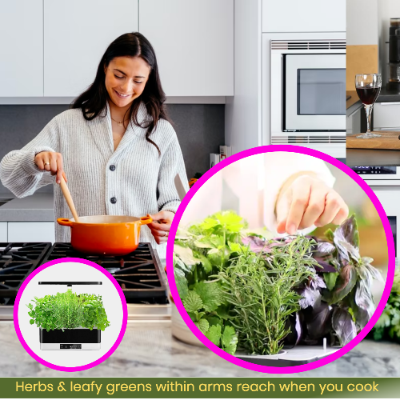 Indoor herb garden in kitchen