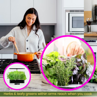 Thumbnail for Indoor herb garden in kitchen