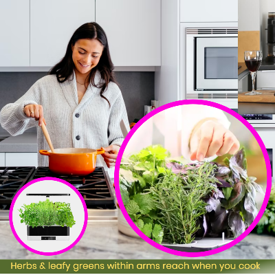 Indoor herb garden being used in the kitchen