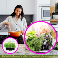 Thumbnail for Indoor herb garden being used in the kitchen