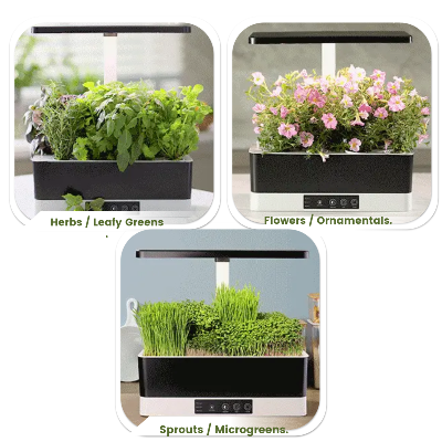 Indoor herb garden showing images of herbs, leafy greens, flowers, sprouts, microgeens