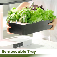 Thumbnail for Indoor herb garden showing how the grow tray is removeable from the base