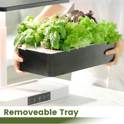 Indoor herb garden with removeable water tank