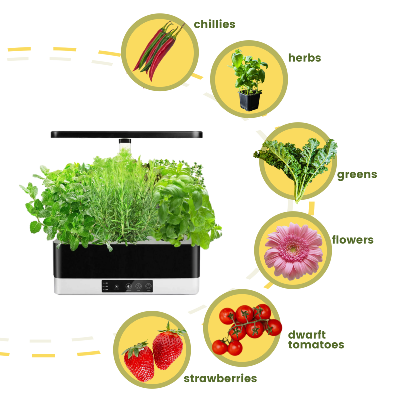 Indoor herb garden showing images of the types of plants that can grow in it e.g. chillies, herbs, greens, flowers, dwarf tomatoes, strawberries 